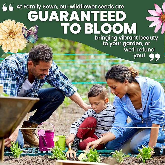 Perennial Species Mix - Large 2,500mg Envelope - 1,250 Flower Seeds for Planting - Wildflower Mix