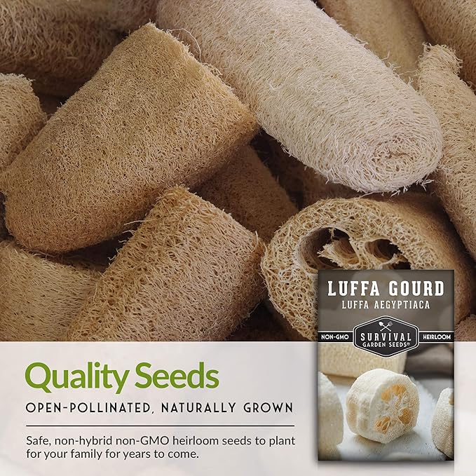 Survival Garden Seeds - Luffa or Loofah Seed for Planting - 5 Packets with Instructions to Plant and Grow Ornamental Gourds in Your Home Vegetable Garden - Non-GMO Heirloom Variety