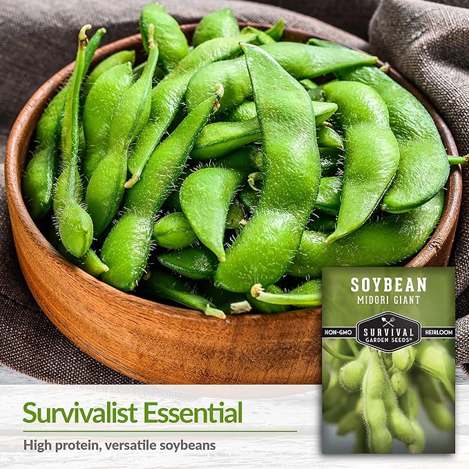 Survival Garden Seeds Midori Giant Soybean Seed for Planting - Packet with Instructions to Plant & Grow Protein-Rich Edamame Pods in Your Home Vegetable Garden - Non-GMO Heirloom Variety Edamame Seeds