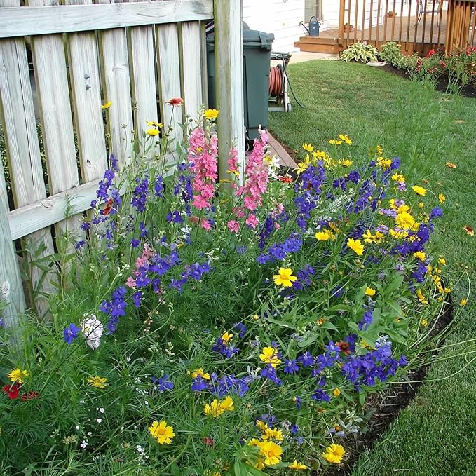 Texas Wildflower Seed Mix, Covers 325 Sq Ft, 17 Flower Varieties, Over 60,000 Seeds - Created By Nature