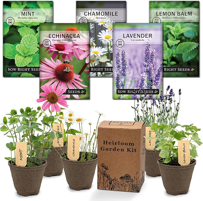Sow Right Seeds - Herbal Tea Garden Grow Kit - 5 Seed Packets, Instructions, Pots, Potting Soil, Markers - Start Growing Lavender Lemon Balm Echinacea Chamomile Mint Indoors - Non GMO Gift for Women