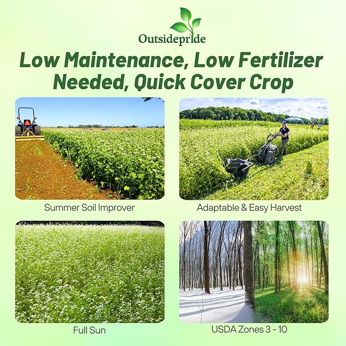 Outsidepride Buckwheat Seeds - 10lbs Annual, Fast-Growing, Easy to Grow Buckwheat Cover Crop Seeds for Green Manure, Bee Pasture & Pollinators, Wildlife Habitat, Soil Improvement, and Erosion Control