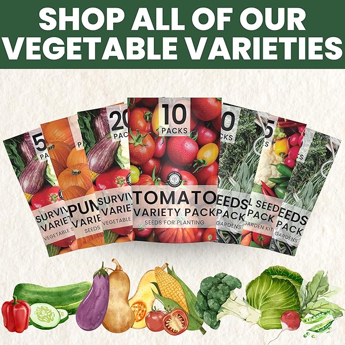 Herb Seeds | 10 Invidiual Packs | 2025 Season | Non-GMO | Mint, Parsley, Basil, Thyme & More! | for Planting Indoor & Outdoor | by Family Sown