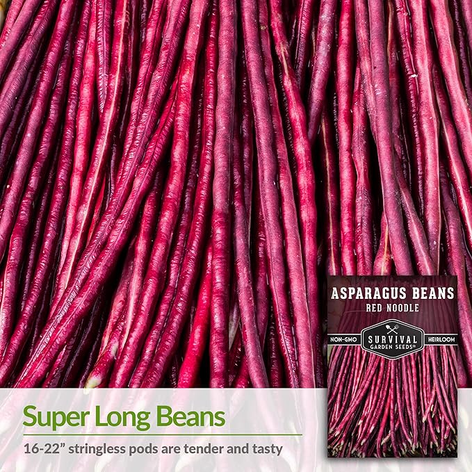 Survival Garden Seeds - Red Noodle Asparagus Bean Seed for Planting - 5 Packs with Instructions to Plant and Extremely Long Stringless Beans in Your Home Vegetable Garden - Non-GMO Heirloom Variety