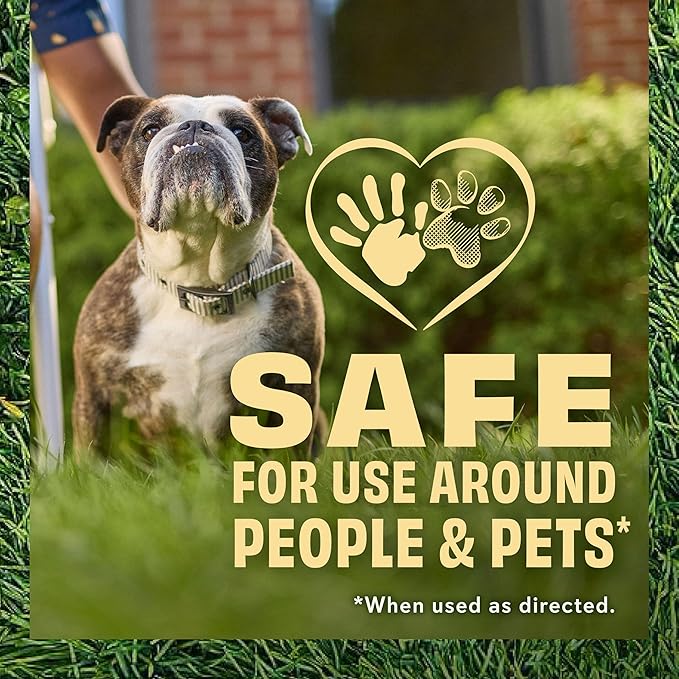 O.M. Scott and Sons Clover Seed, Lawn Seed Grows a Naturally Low Maintenance, Drought-Tolerant Lawn, 1,000 sq. ft., 2 lb., 2-Pack