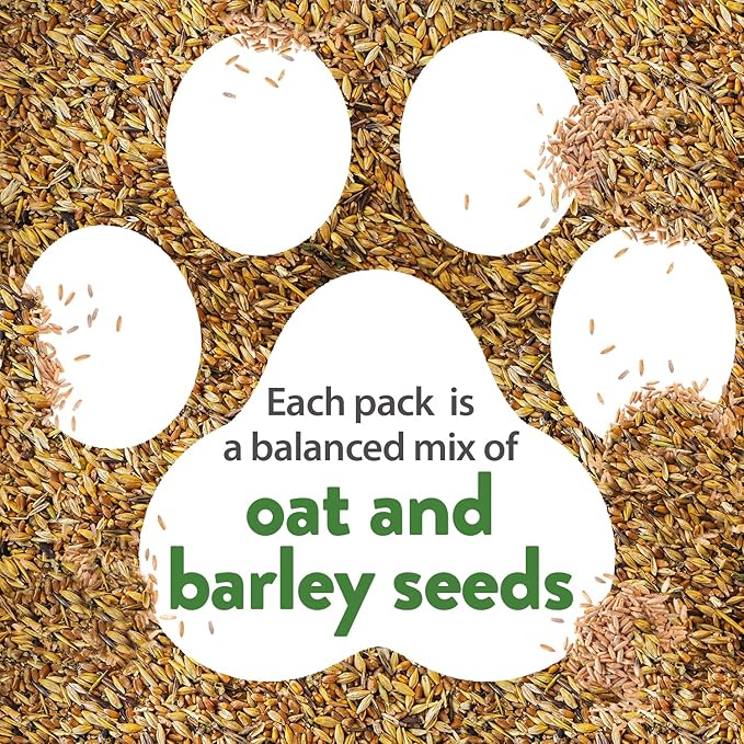 HOME GROWN Cat Grass Seeds (6oz) - Barley & Oat Seeds Mix - Keep Pets Healthy with Cat Grass for Indoor Cats - Cat Grass Seeds Bulk - Refill Cat Grass Growing Kit-100% Non-GMO, Heirloom Cat Grass Seed