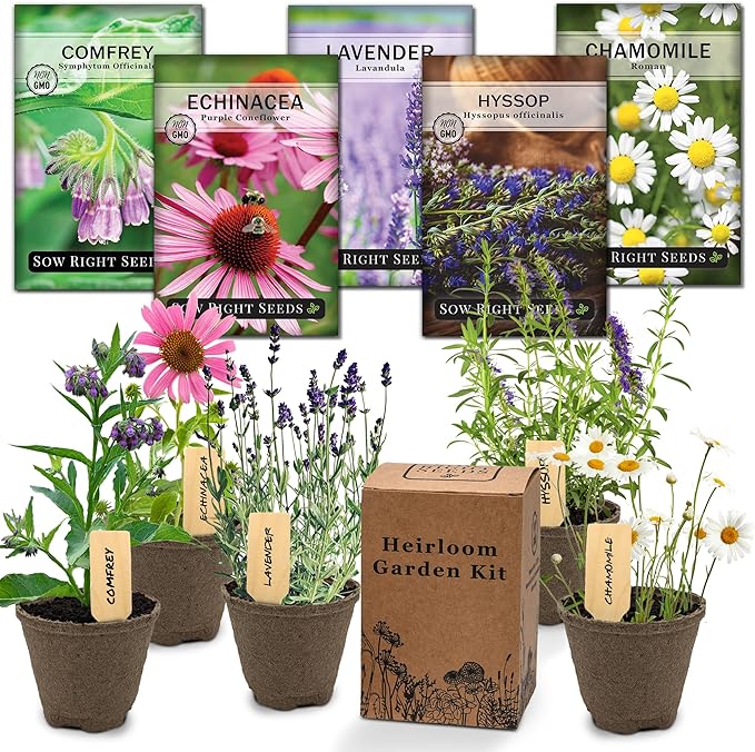 Sow Right Seeds - Heirloom Medicinal Garden Seeds Growing Kit - 5 Medicinal Varieties - Pots & Potting Soil - Grow Herbal Teas with Non-GMO Packets of Lavender, Chamomile, & Echinacea - Wonderful Gift