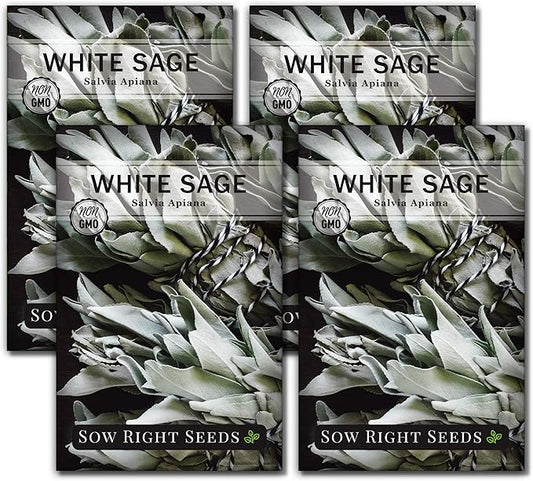 Sow Right Seeds - White Sage Seed for Planting - Non-GMO Heirloom Packet with Instructions for Planting and Growing a Home Herb Garden - Indoors or Outdoors - Make Your Own Herbal Incense (4)