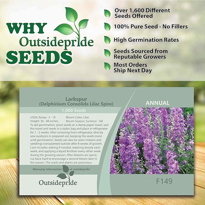 Outsidepride 2000 Seeds Delphinium Lilac Larkspur Flower Seeds for Planting