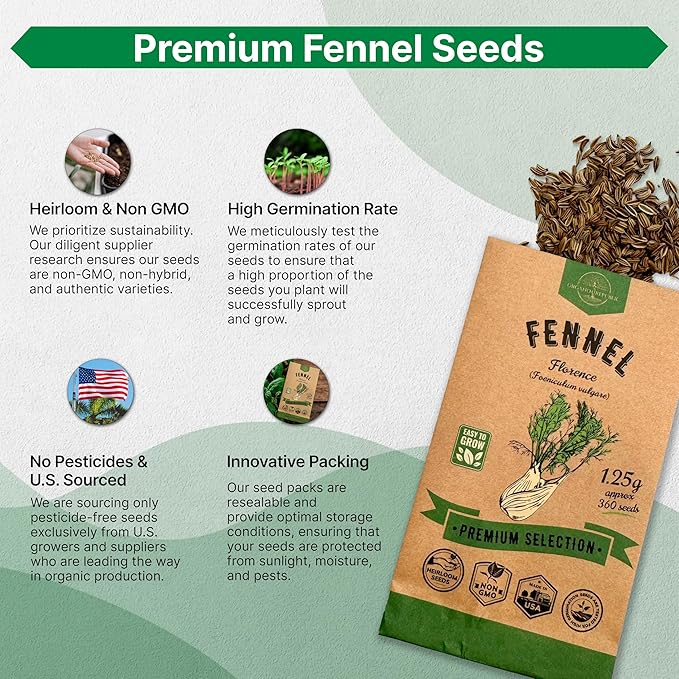 Fennel Florence Seeds Pack 1.25 G - Over 360 Non-GMO Heirloom Fennel Seeds for Planting Herbs in Individual Seed Packet, Herbs Seeds for Planting Home Garden Indoor & Outdoor Gardening