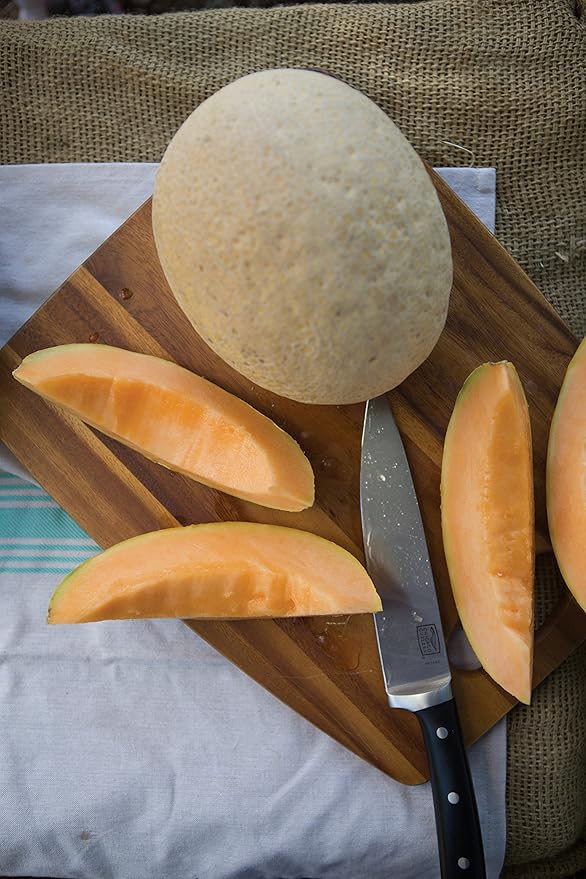 Burpee Aphrodite Cantaloupe Melon Seeds 25 seeds