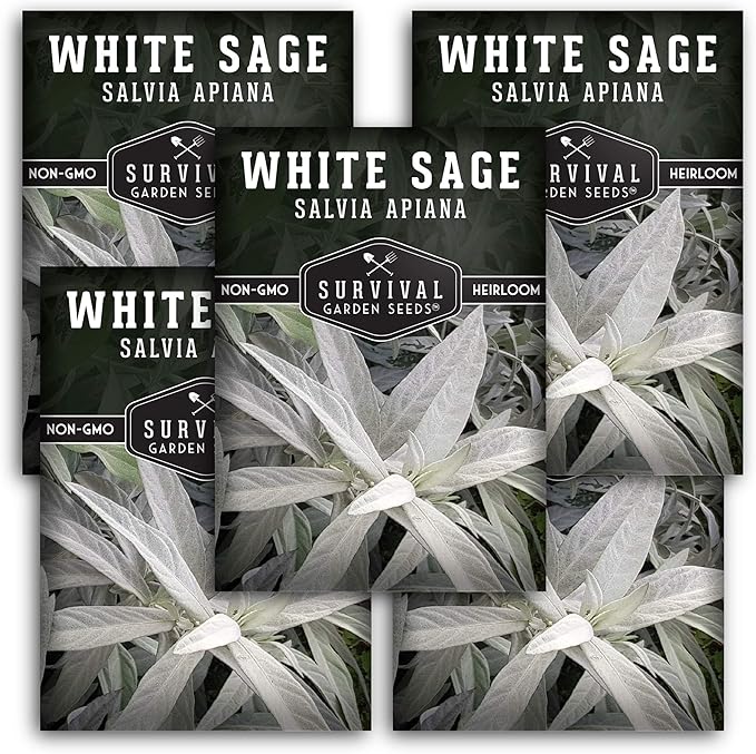 Survival Garden Seeds - 5 Packs White Sage Seed for Planting - Grow Sustainable Smudging Herbs - Packet with Instructions to Plant & Grow in Your Home Garden - Non-GMO Heirloom Variety