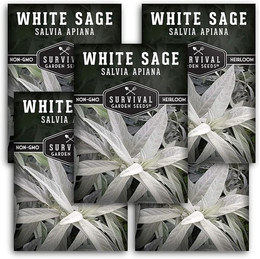 Survival Garden Seeds - 5 Packs White Sage Seed for Planting - Grow Sustainable Smudging Herbs - Packet with Instructions to Plant & Grow in Your Home Garden - Non-GMO Heirloom Variety