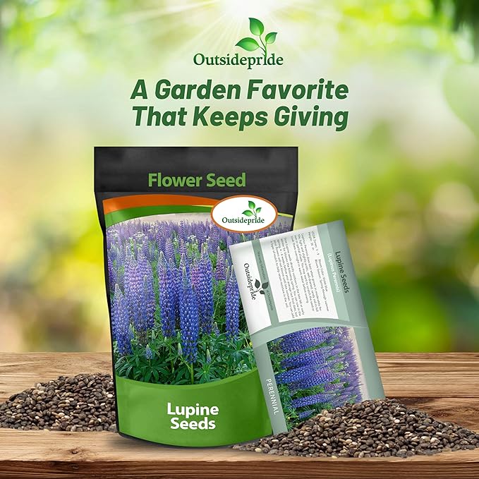 Outsidepride 500 Seeds Perennial Blue Lupine Flower Seeds for Planting