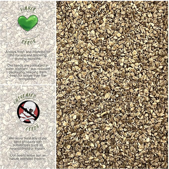 Seed Needs Tiny Tim Tomato Seeds for Planting - Non-GMO, Heirloom & Untreated - Organically Grow an Outdoor Vegetable Garden - Dwarf Plants Produce Cherry Tomatoes (2 Packs)