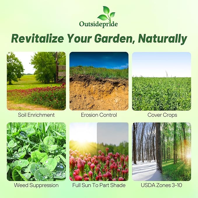 Outsidepride Gardenway Cover Crop Seeds - 10 lbs Nutrient-Rich Seed Mix for Soil Health Improvement & Home Gardens - Mixture of Triticale, Peas, Oats, Vetch, Annual Ryegrass, Crimson Clover