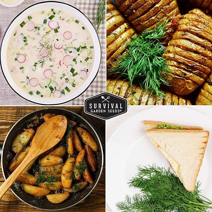 Survival Garden Seeds - Dill Seeds for Planting – Packet with Instructions to Grow Popular Pickling Herbs in Your Home Vegetable & Herb Garden – Non-GMO Heirloom Variety Seeds – 5 Pack