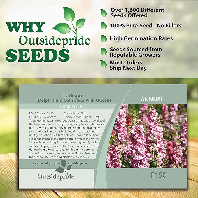Outsidepride 1000 Seeds Delphinium Pink Larkspur Flower Seeds for Planting