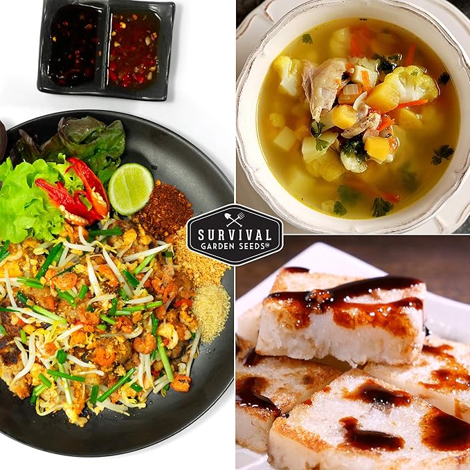 Survival Garden Seeds - Turnip Snowball Seed for Planting - 3 Packs with Instructions to Plant and Grow Root Vegetables and Greens in Your Home Vegetable Garden - Non-GMO Heirloom Variety - Seed Vault