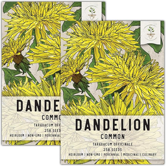 Seed Needs Dandelion Seeds for Planting - Non-GMO, Heirloom & Untreated Perennial Herbs - Organically Grow Food for Tortoises, Rabbits & Bearded Dragons (2 Packs)
