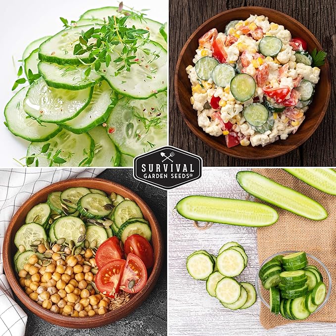 Survival Garden Seeds - Beit Alpha Cucumber Seed for Planting - Pack with Instructions to Plant and Grow Smooth Green Burpless Cucumbers in Your Home Vegetable Garden - Non-GMO Heirloom Variety - 2