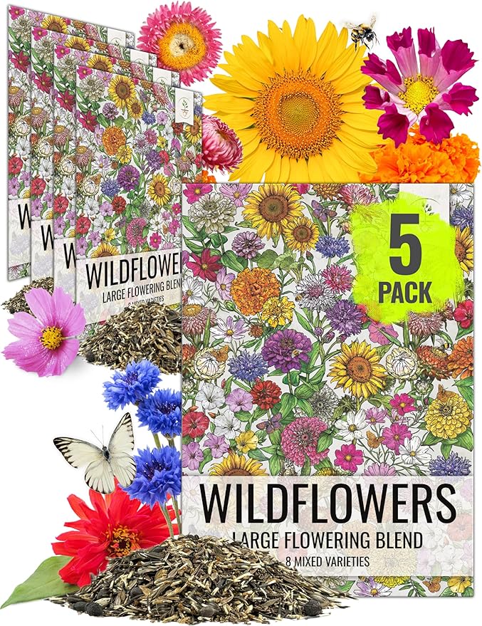 Seed Needs Garden Flower Seeds Large Blooms Mix Hummingbird and Butterfly | 5 Packs (1 Ounce Each) No Filler 7 Varieties Open Pollinated | Resealable Package Live Wild Flower Seed | Bulk