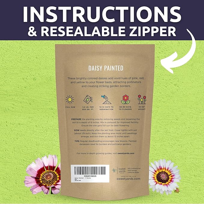 Painted Daisy - Bulk 1/4 Pound Pouch - 40,000 Flower Seeds for Planting - Tanacetum coccineum