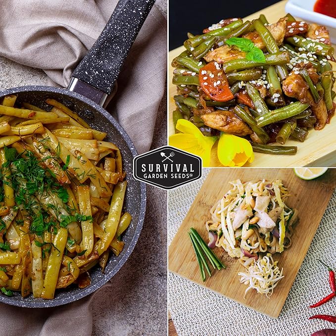 Survival Garden Seeds - Tri-Color Bean Seed for Planting - Packet with Instructions to Plant and Grow Yellow, Purple, and Green Bush Beans in Your Home Vegetable Garden - Non-GMO Heirloom Variety