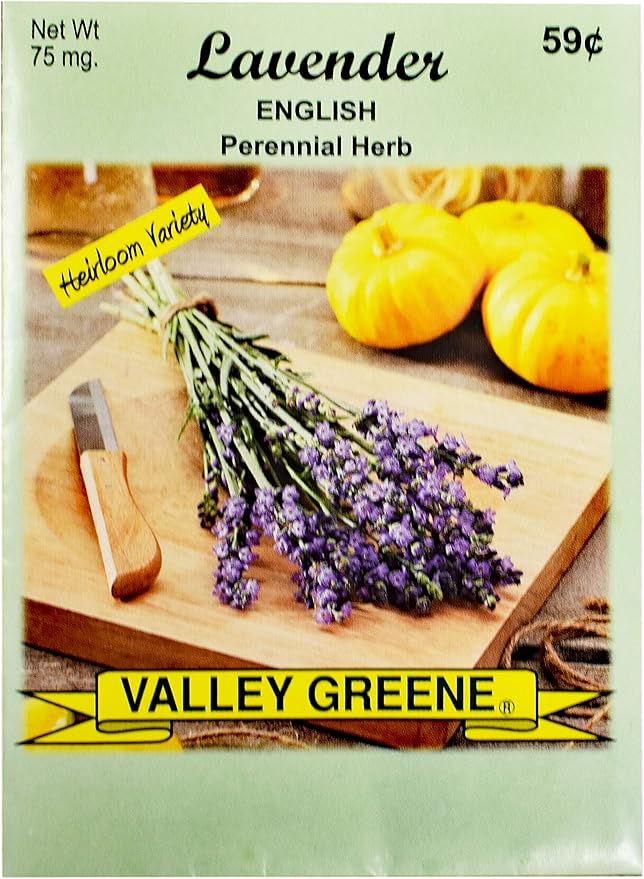 Black Duck Brand Set of 25 Lavender Flower Seed Packets! Flower Seeds in Bulk - Great for Creating The Garden of Your Dreams! (25, Lavender)