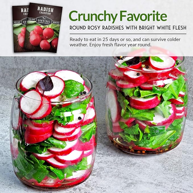 Survival Garden Seeds - Champion Radish Seed for Planting - 3 Packets with Instructions to Plant & Grow Red Radishes in Your Home Vegetable Garden - Non-GMO Heirloom Variety Vegetable Seed
