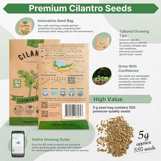Cilantro Seeds Pack 5 G - Over 550 Non-GMO Heirloom Cilantro Seeds for Planting Herbs in Individual Seed Packet, Herb Seeds for Planting Home Garden Indoor & Outdoor Gardening
