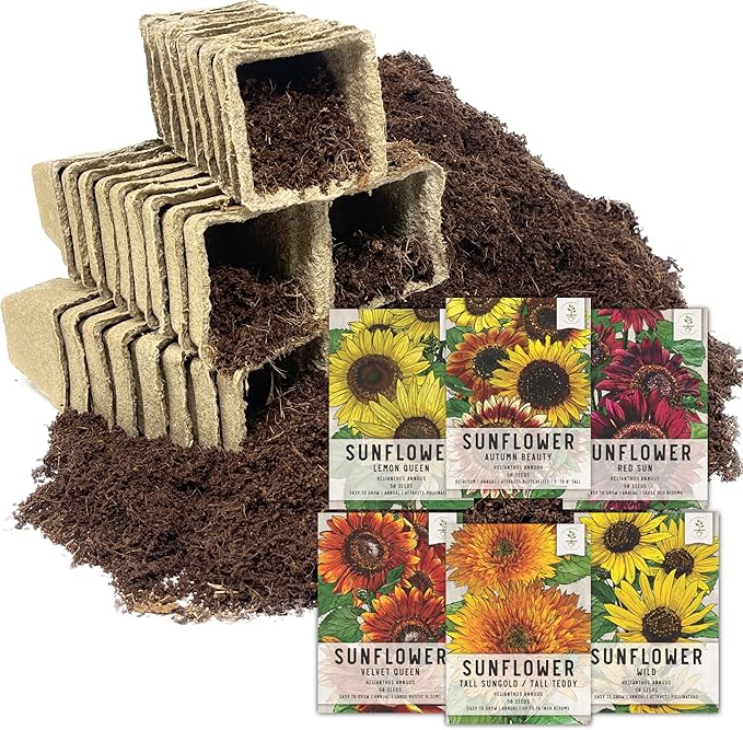Seed Needs, Sunflower Seed Packet Collection Seed Starting Bundle (Includes 6 Individual Seed Packets, 36 Starter Pots & 1 Expandable Coco Coir Brick) Heirloom, Open Pollinated & Untreated