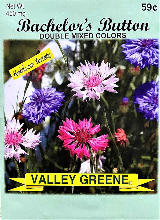 Set of Flower Seed Packets! Flower Seeds in Bulk - Great for Creating The Garden of Your Dreams! (200, Bachelors Button - Double Mixed)