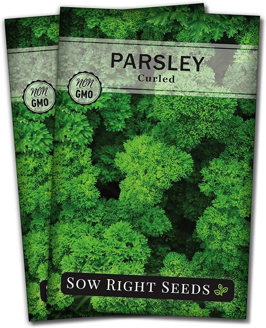 Sow Right Seeds - Curly Leaf Parsley Seed for Planting - Non-GMO Heirloom Packet with Instructions to Plant and Grow a Kitchen Herb Garden - Indoor or Outdoor - Great for Hydroponics Growing (2)