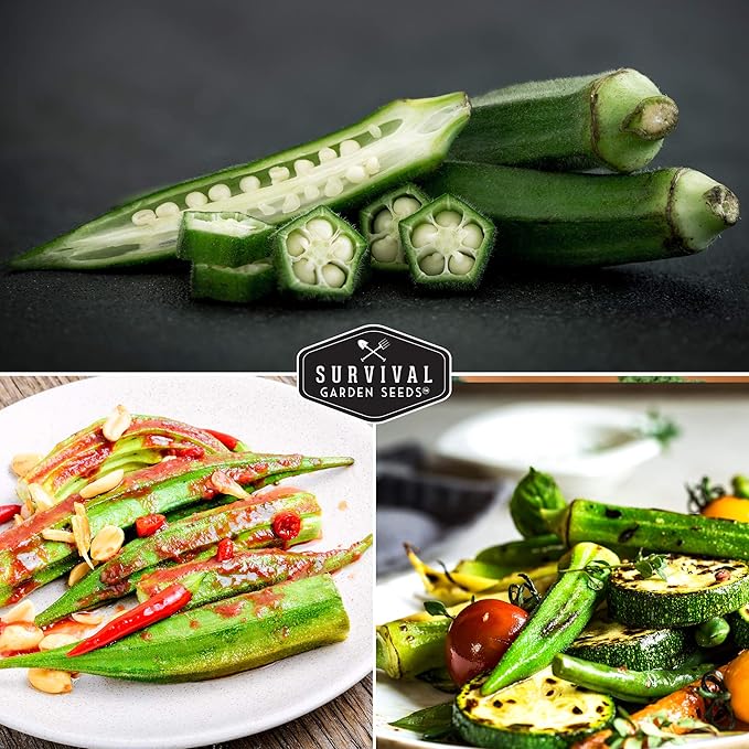 Survival Garden Seeds - Emerald Okra Seed for Planting – 1 Packet with Instructions to Grow Tender, Large Okra Plant Pods in Your Home Vegetable Garden – Non-GMO Heirloom Variety Seed