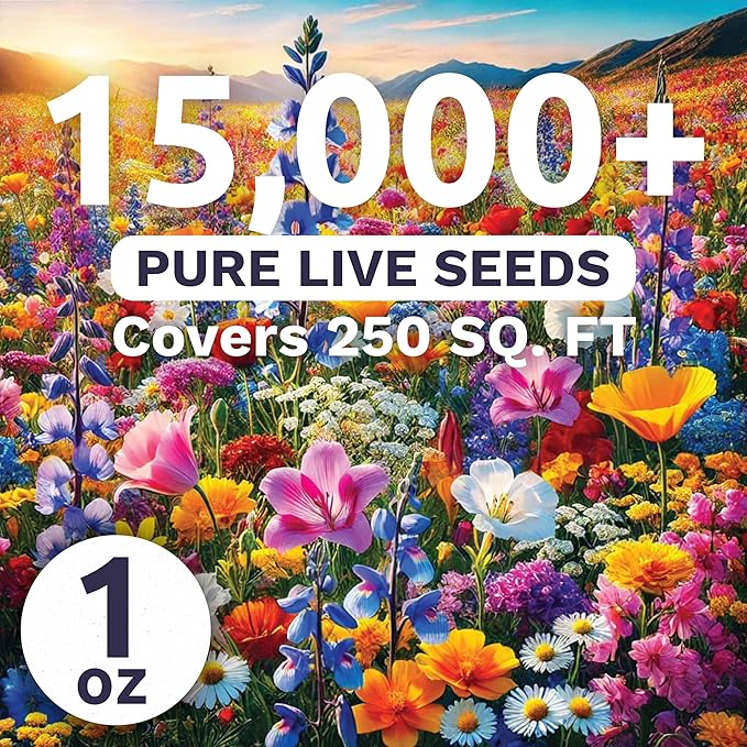 Midwest Regional Mix - Large 1 Ounce Packet - 15,000 Flower Seeds for Planting - Wildflower Mix