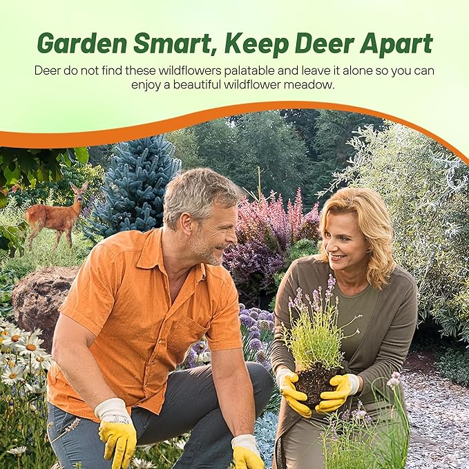 Outsidepride Deer Proof Wildflower Seed Mix - 1 lb. Colorful Blend of Easy to Grow, Drought-Tolerant Annual & Perennial Wildflower Seeds for a Deer-Free,Vibrant Meadow & Pollinator-Friendly Garden