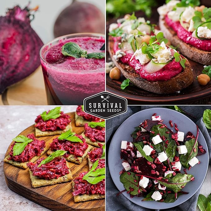 Survival Garden Seeds - Detroit Dark Red Beet Seed for Planting - 2 Packs with Instructions to Plant & Grow Delicious Root Vegetables in Your Home Vegetable Garden - Non-GMO Heirloom Variety Seed