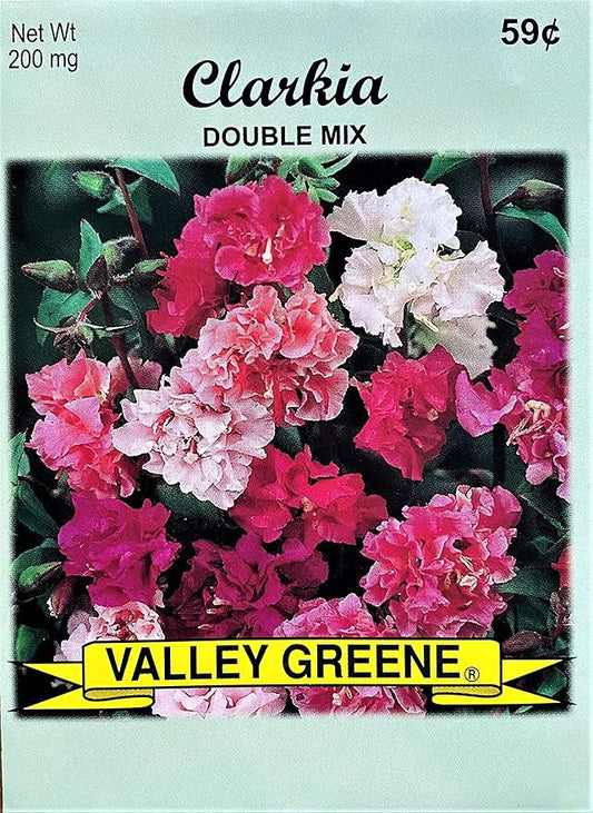 Set of Flower Seed Packets! Flower Seeds in Bulk - Great for Creating The Garden of Your Dreams! (100, Clarkia - Double Mix)