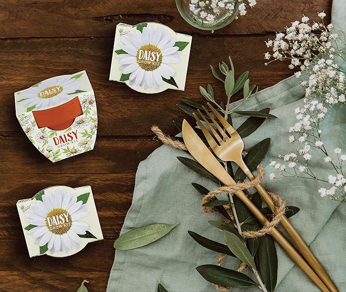 BUZZY Terracotta Mini Grow Pots | Mini Daisy 6-Pack | Daydream Collection | Best Gardening Gifts, Favors, Weddings, Parties, Events, Modern, Trendy, Unique, and Fun | Growth Guaranteed