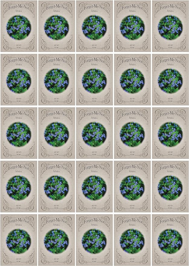 Black Duck Brand Set of 25 Packs of Forget-Me-Not Flower Seed Packets! Flower Seeds in Bulk - Great for Creating The Garden of Your Dreams! (25, Forget-Me-Not Blue)