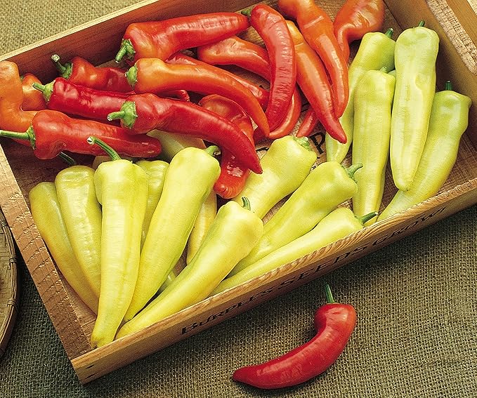 Burpee Sweet Banana Sweet Pepper Seeds 150 seeds