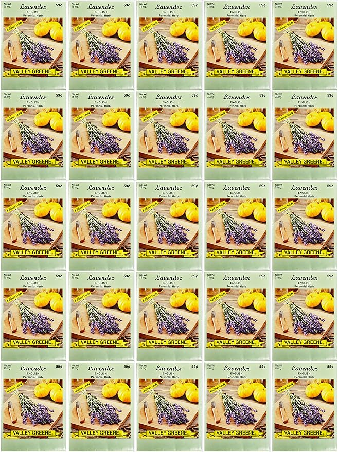 Black Duck Brand Set of 25 Lavender Flower Seed Packets! Flower Seeds in Bulk - Great for Creating The Garden of Your Dreams! (25, Lavender)